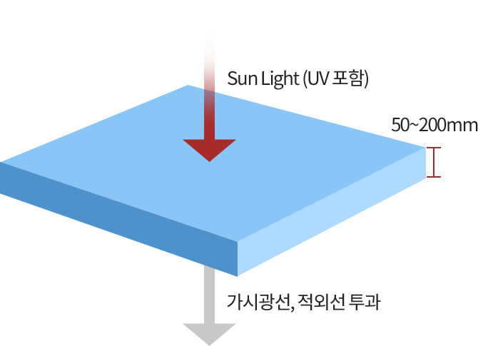 리스트 썸네일